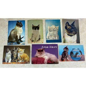 Feline Friends Vintage 1960's England Cat Postcards With Some Stamps